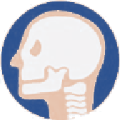 Icono del cuello y la columna cervical, una de las 6 articulaciones que cuida Activium