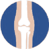 Icono de la articulación de la rodilla, zona que cuida Activium