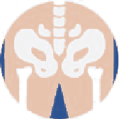 Icono de la cadera y la pelvis, zona que cuida Activium